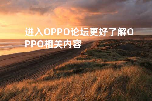 进入OPPO论坛 更好了解OPPO相关内容