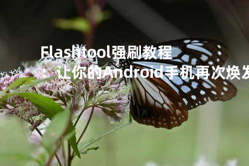 Flashtool强刷教程：让你的Android手机再次焕发新活力